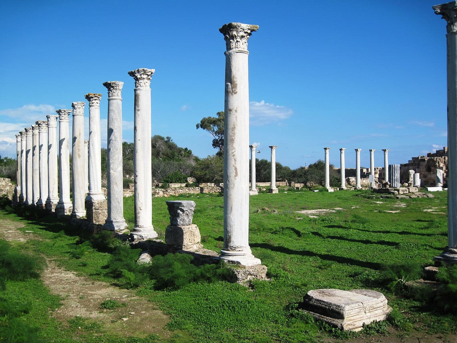 Salamis