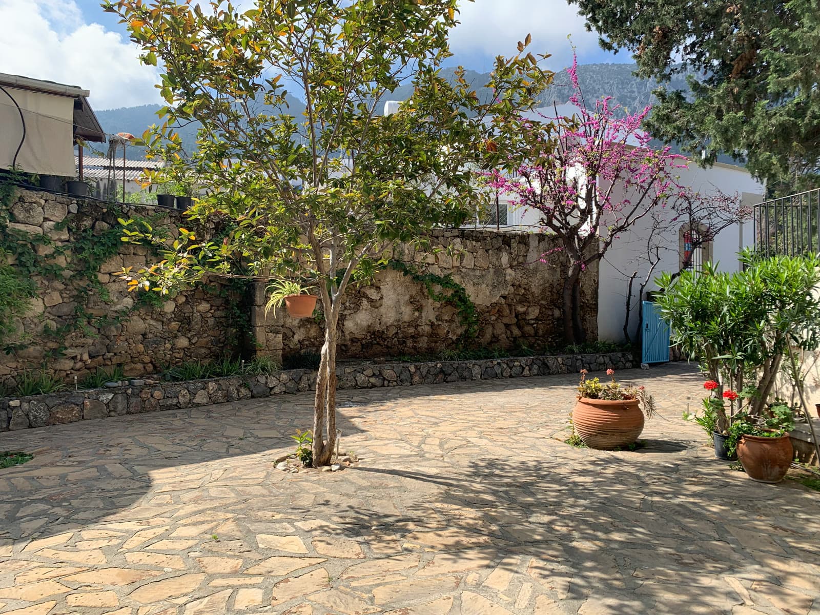 The walled garden and courtyard.